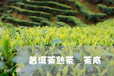 普洱茶熟茶 茶底/2023031730591